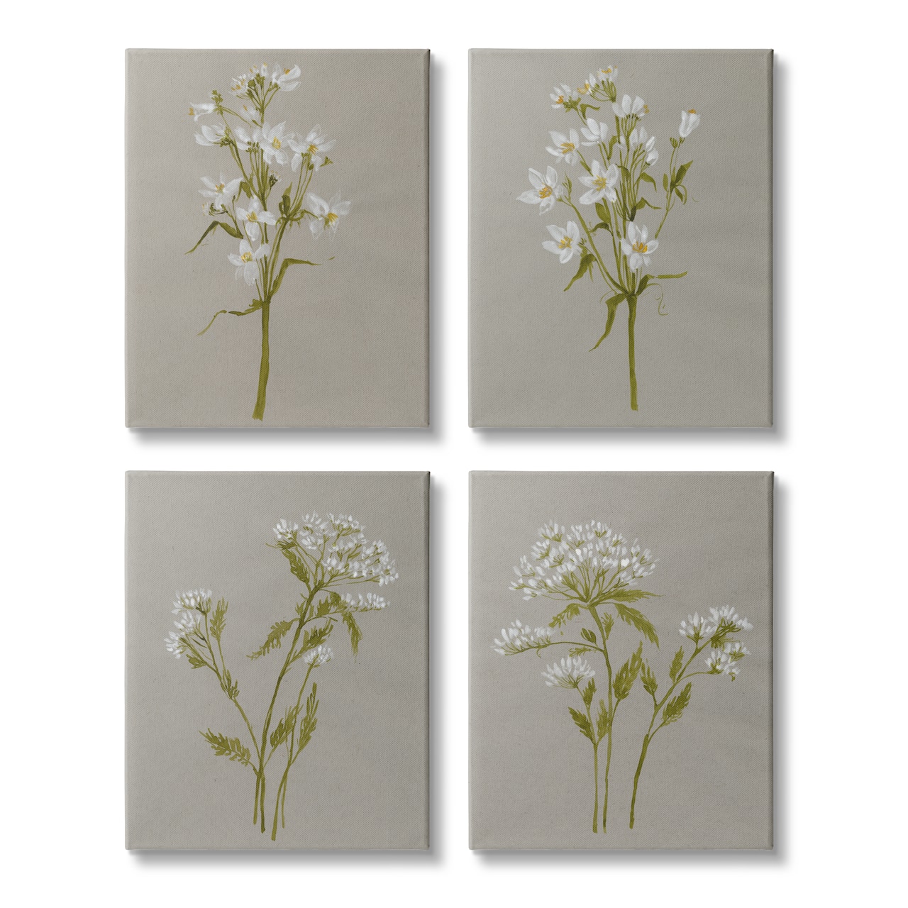 Stupell Industries Vintage White Wild Flower Study Soft Petals,16" x 20"